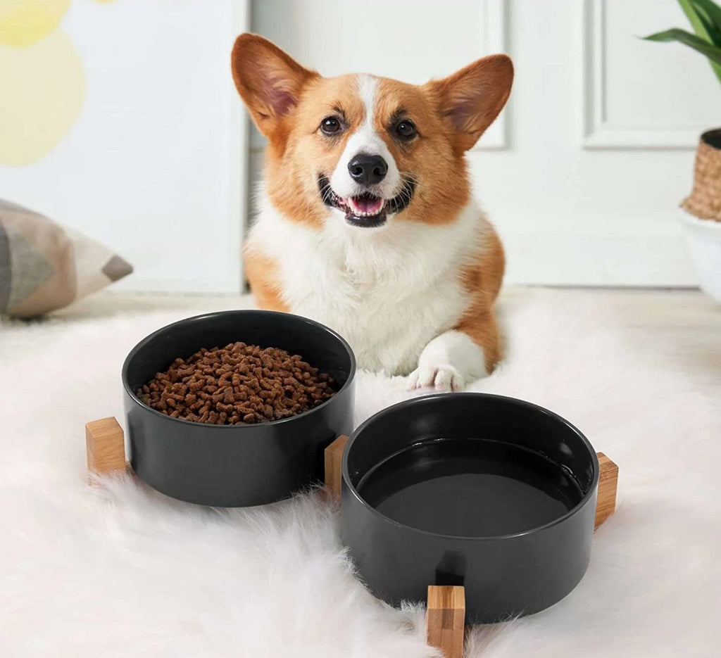To sorte madskåle i træholdere på hvidt tæppe med en Corgi i baggrunden.