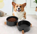 To sorte madskåle i træholdere på hvidt tæppe med en Corgi i baggrunden.